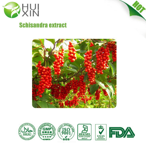 Schisandra Extract Chinensis P.E.